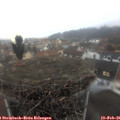 07_45-nest.jpg