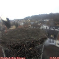 08_00-nest.jpg