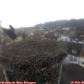 08_05-nest.jpg
