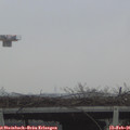 08_20-mast.jpg