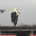 08_30-mast.jpg