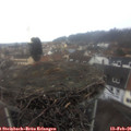 08_35-nest.jpg