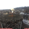 09_40-nest.jpg