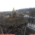 09_45-nest.jpg