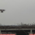 09_50-mast.jpg