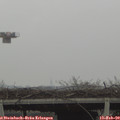 10_00-mast.jpg