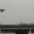 10_05-mast.jpg