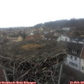 10_05-nest.jpg
