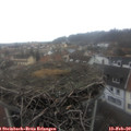 10_10-nest.jpg