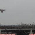 10_15-mast.jpg