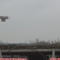 10_20-mast.jpg