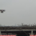 10_25-mast.jpg