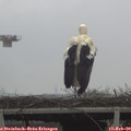 10_45-mast.jpg