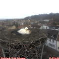 11_00-nest.jpg