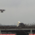 11_05-mast.jpg