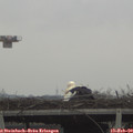 11_10-mast.jpg