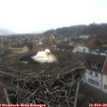 11_10-nest.jpg