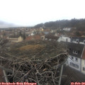 11_40-nest.jpg