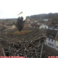 11_55-nest.jpg