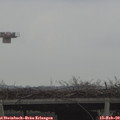 12_00-mast.jpg
