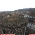 12_00-nest.jpg