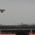 12_05-mast.jpg