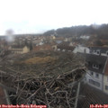 12_05-nest.jpg