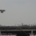 12_10-mast.jpg