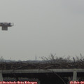 12_15-mast.jpg