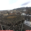 12_15-nest.jpg
