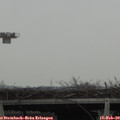 12_20-mast.jpg