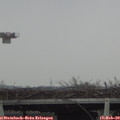 12_25-mast.jpg