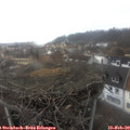 12_25-nest.jpg