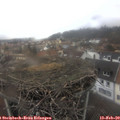 12_30-nest.jpg