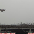 12_35-mast.jpg