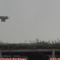 12_40-mast.jpg