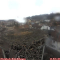 12_40-nest.jpg