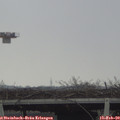 12_45-mast.jpg
