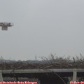 12_50-mast.jpg