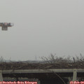 13_00-mast.jpg