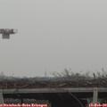 13_10-mast.jpg