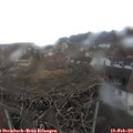 13_10-nest.jpg