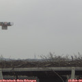 13_15-mast.jpg