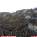 13_15-nest.jpg