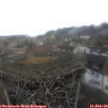 13_20-nest.jpg