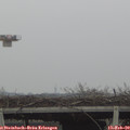13_25-mast.jpg