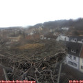 13_25-nest.jpg