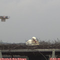 13_45-mast.jpg