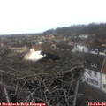 13_45-nest.jpg