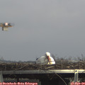 14_05-mast.jpg